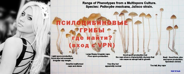 герыч Балахна